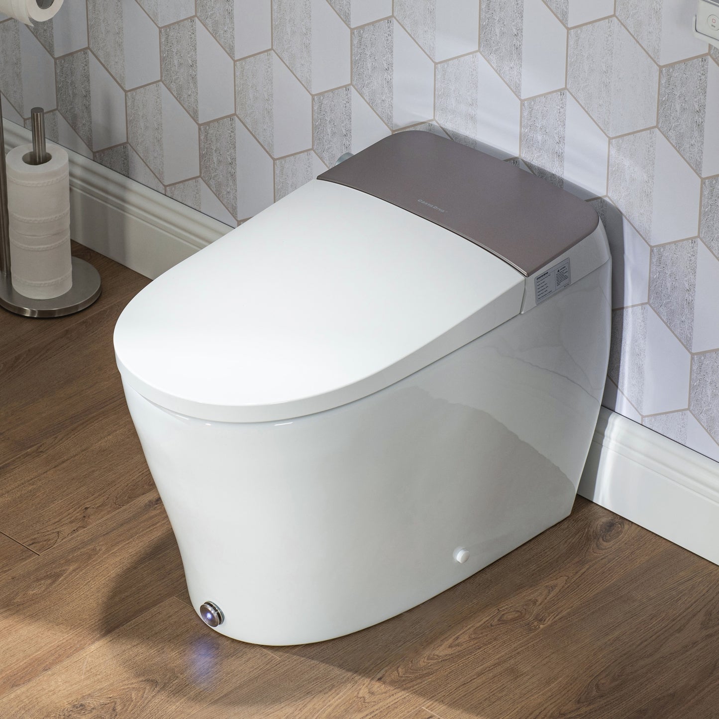 Casta Diva Smart Bidet Toilet with Concealed Tank, Auto Open/Close | CD-Y060