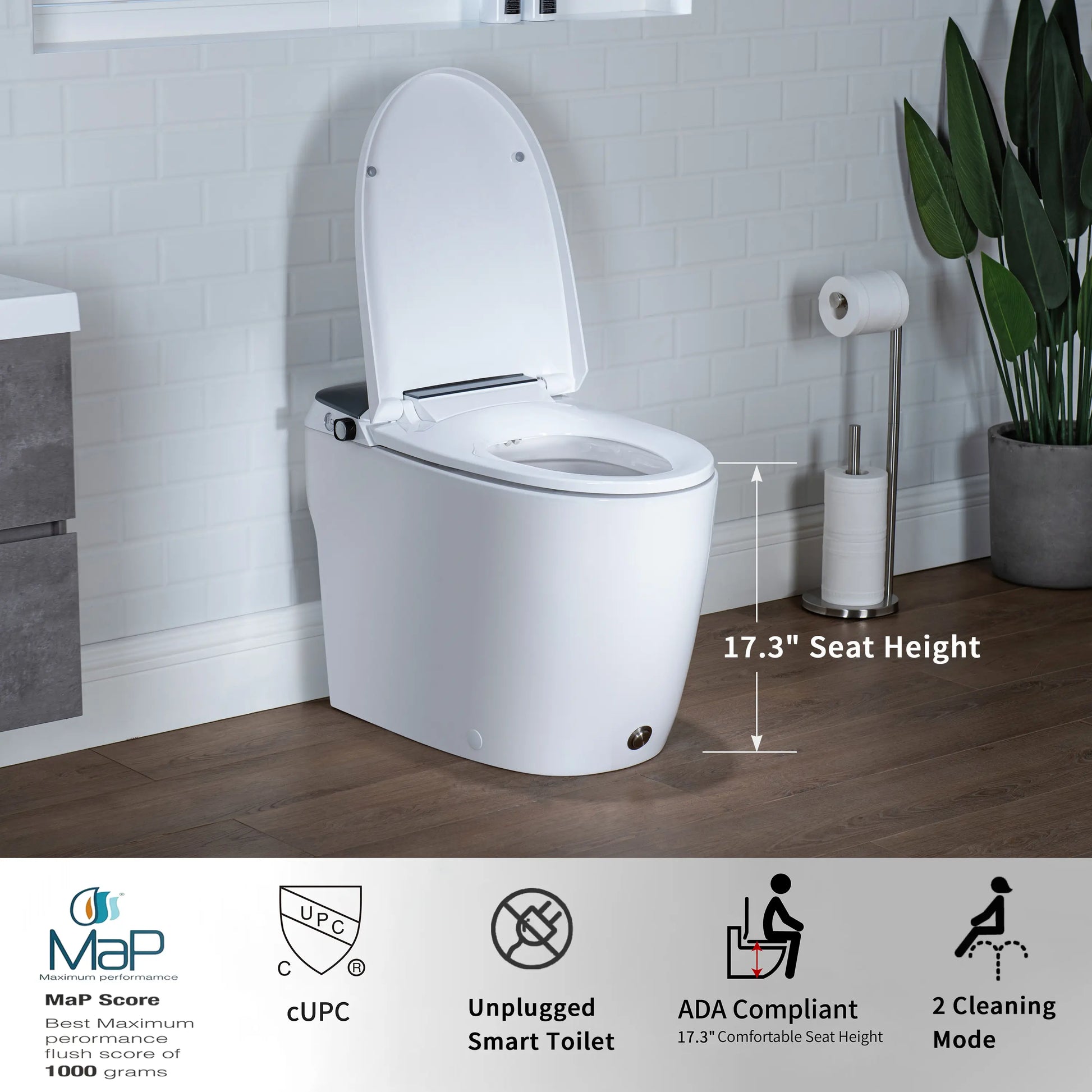 Casta Diva Non-Electric Bidet Toilet, Elongated, 12inch Rough-in  CD-W10V-15