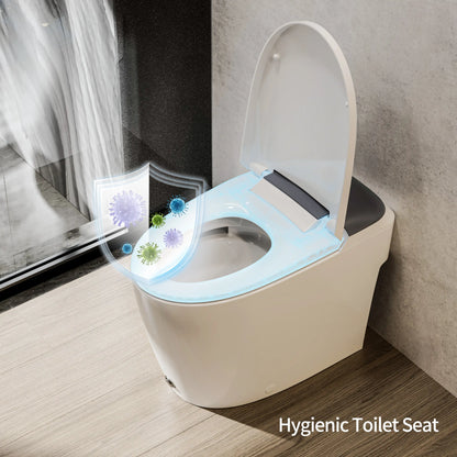 Casta Diva Non-Electric Bidet Toilet, Elongated, 12inch Rough-in  CD-W10V-9