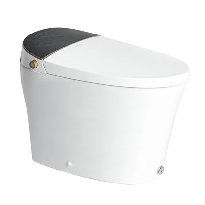 Casta Diva Smart Bidet Toilet, Auto OpenClose, Tankless  CD-Y010S-18