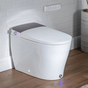 Casta Diva Smart Bidet Toilet, Auto Open/Close, Tankless | CD-Y080