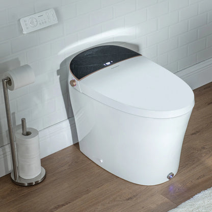 Casta Diva Smart Bidet Toilet with Concealed Tank, Auto OpenClose  CD-Y010PRO-18