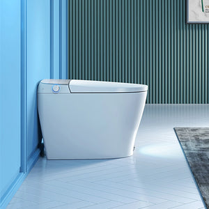 Casta Diva Smart Bidet Toilet with Concealed Tank, Auto Open/Close | CD-Y060