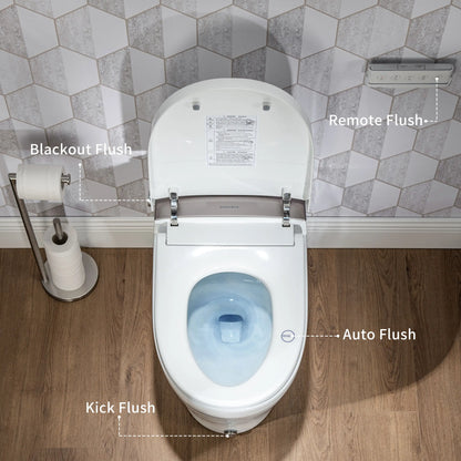 Casta Diva Smart Bidet Toilet with Concealed Tank, Auto OpenClose  CD-Y060-10